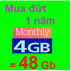 4Gb/tháng - Mua đứt 1 năm (miễn phí tháng)